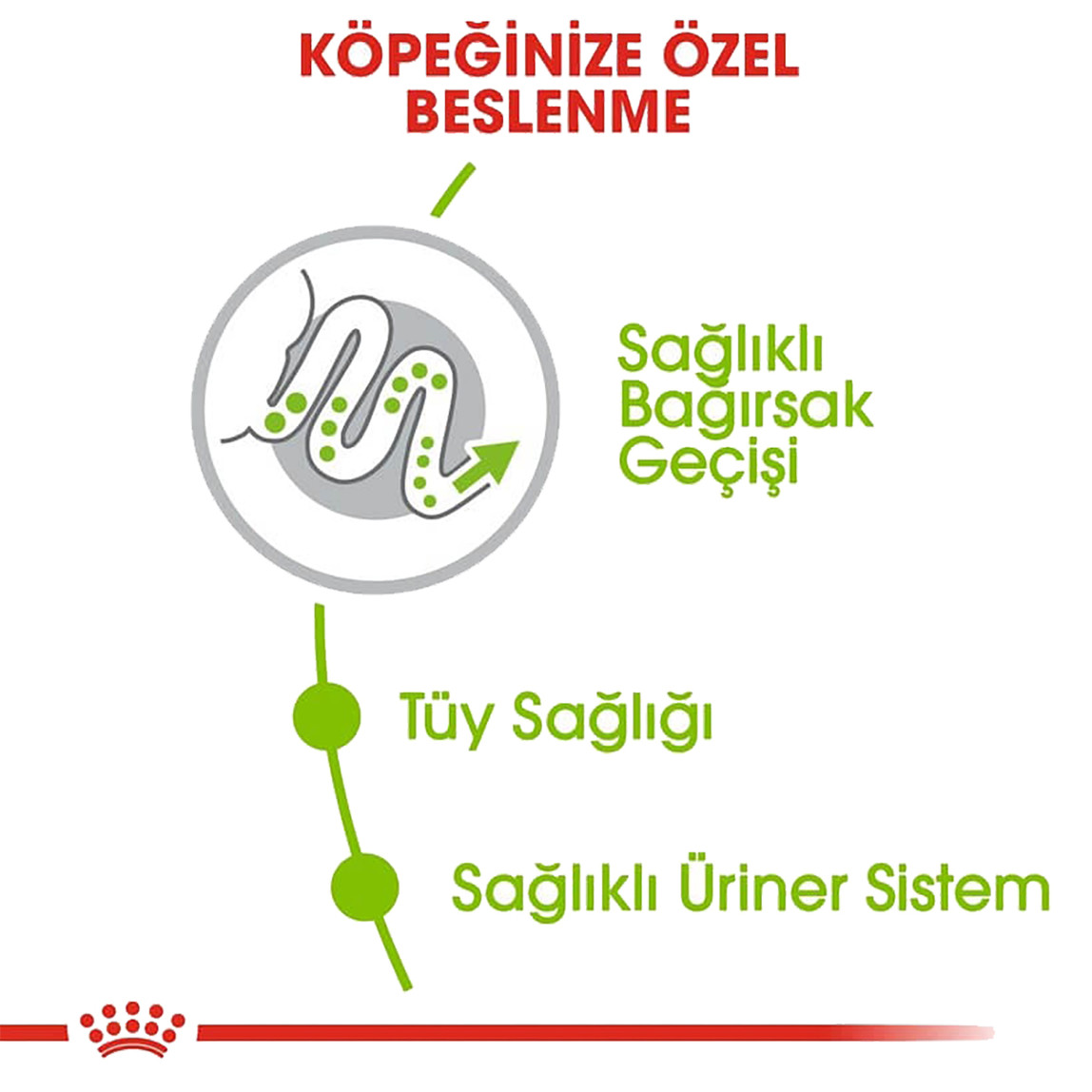    Royal Canin XSmall Adult Yetişkin Köpek Maması 1,5 Kg 
 