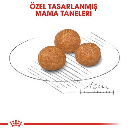 Royal Canin XSmall Adult Yetişkin Köpek Maması 1,5 Kg 
