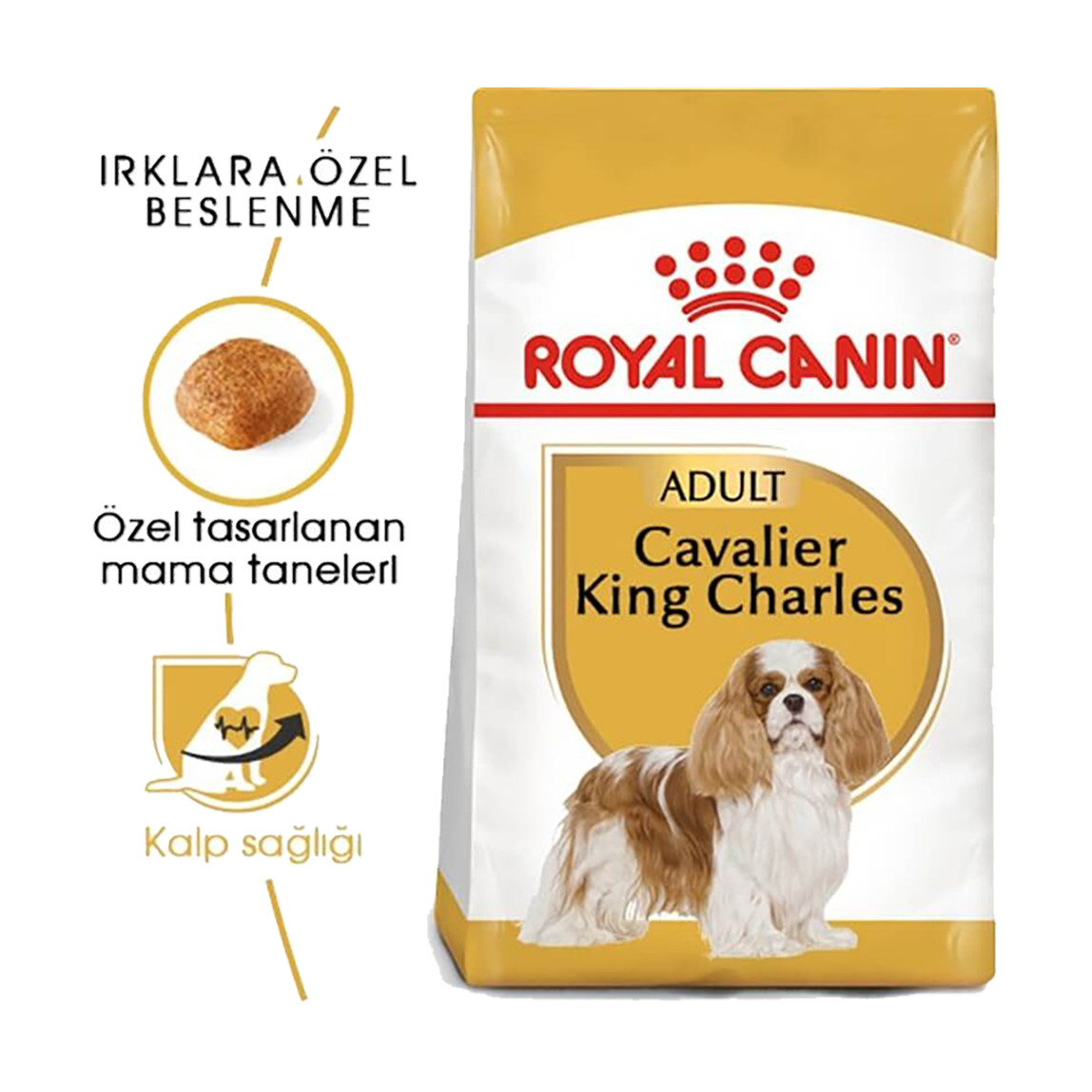    Royal Canin Cavalier King Charles 27  Yetişkin Köpek Maması 1,5 Kg 
 