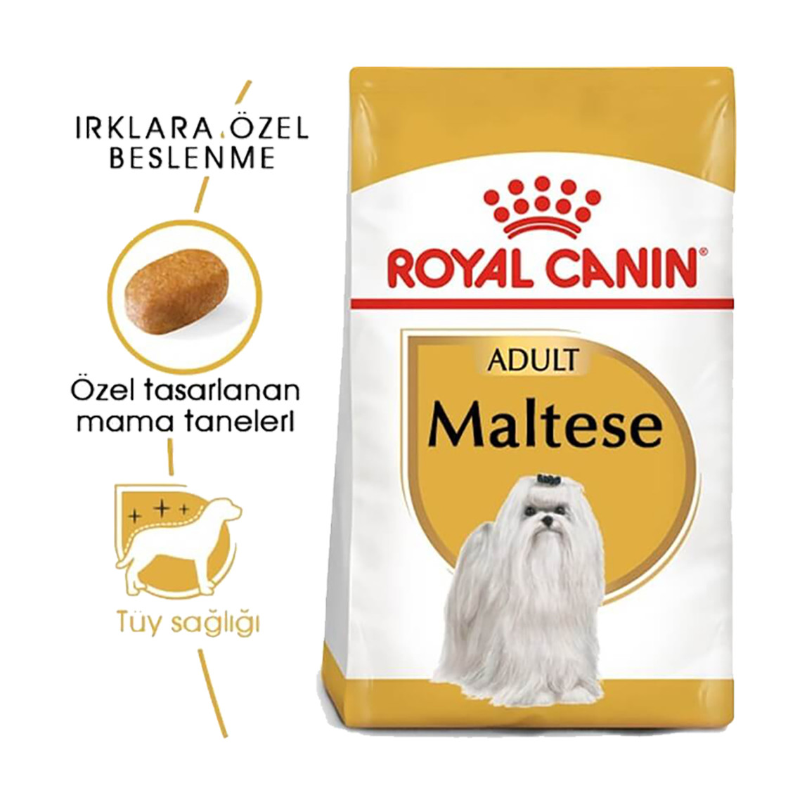    Royal Canin Maltese Bichon Maltais Yetişkin Köpek Maması 1,5 Kg 
 