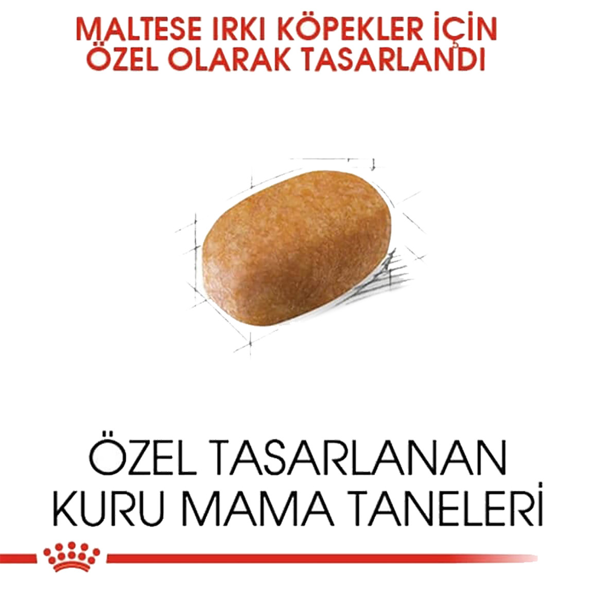    Royal Canin Maltese Bichon Maltais Yetişkin Köpek Maması 1,5 Kg 
 