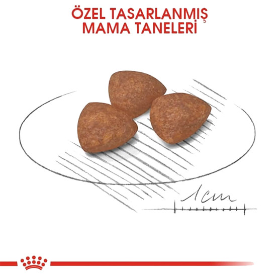 Royal Canin Mini Puppy Yavru Kuru Köpek Maması 2 Kg 
