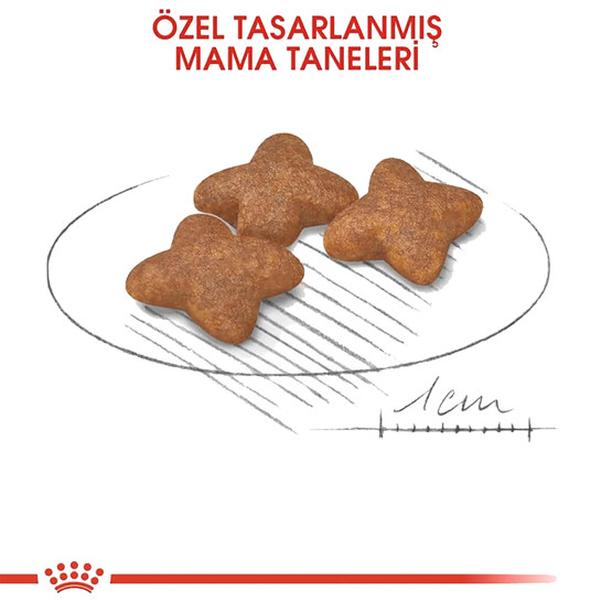 Royal Canin Mini Adult Yetişkin Köpek Maması 2 Kg  