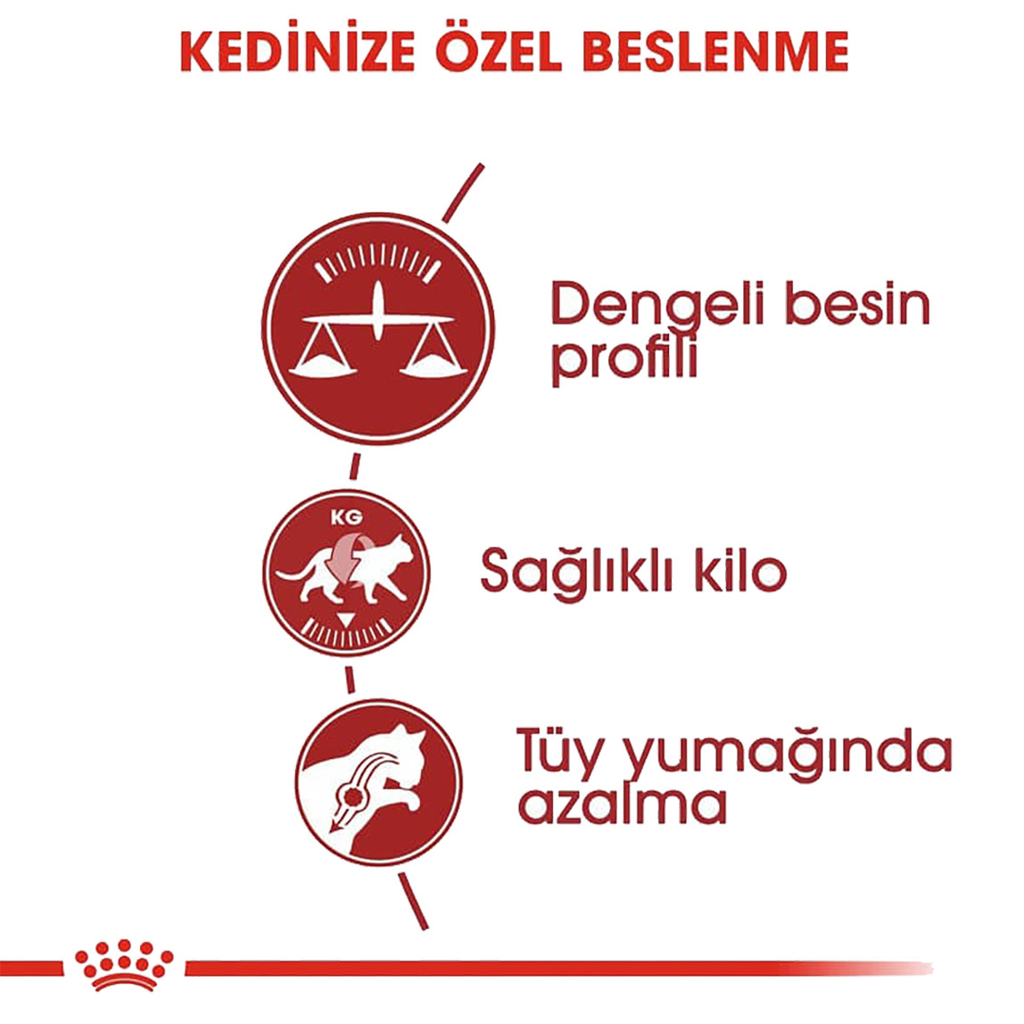    Royal Canin Fit 32 Kuru Kedi Maması 2 Kg 
 