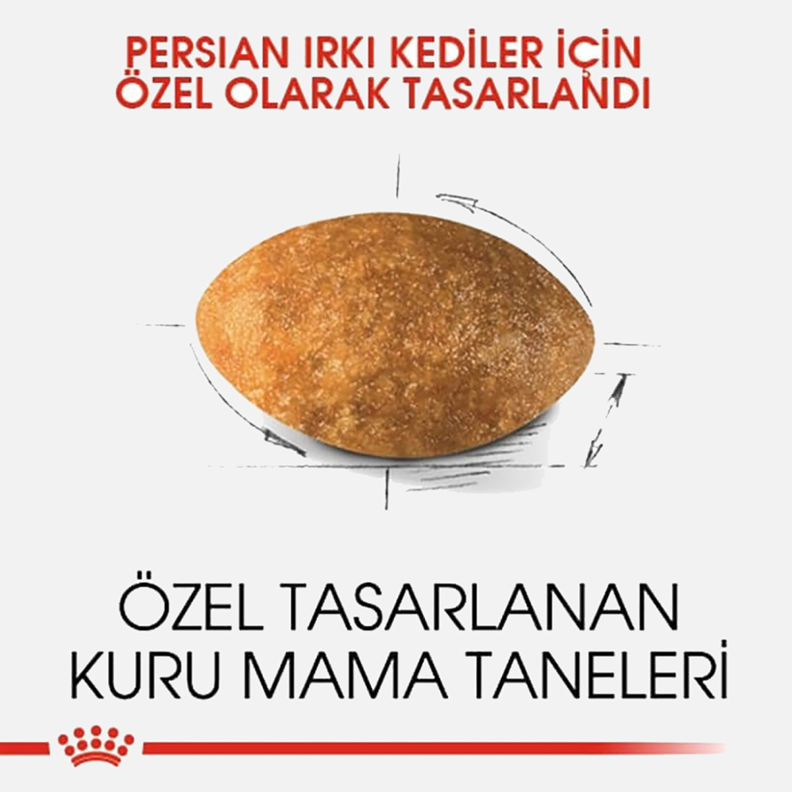    Royal Canin Persian Adult Kuru Kedi Maması 2 Kg 
 