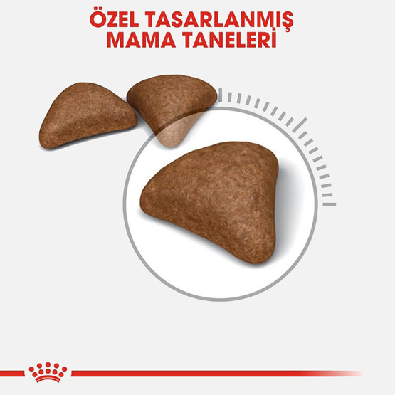 Royal Canin Hairball Care Kuru Kedi Maması 2 Kg 