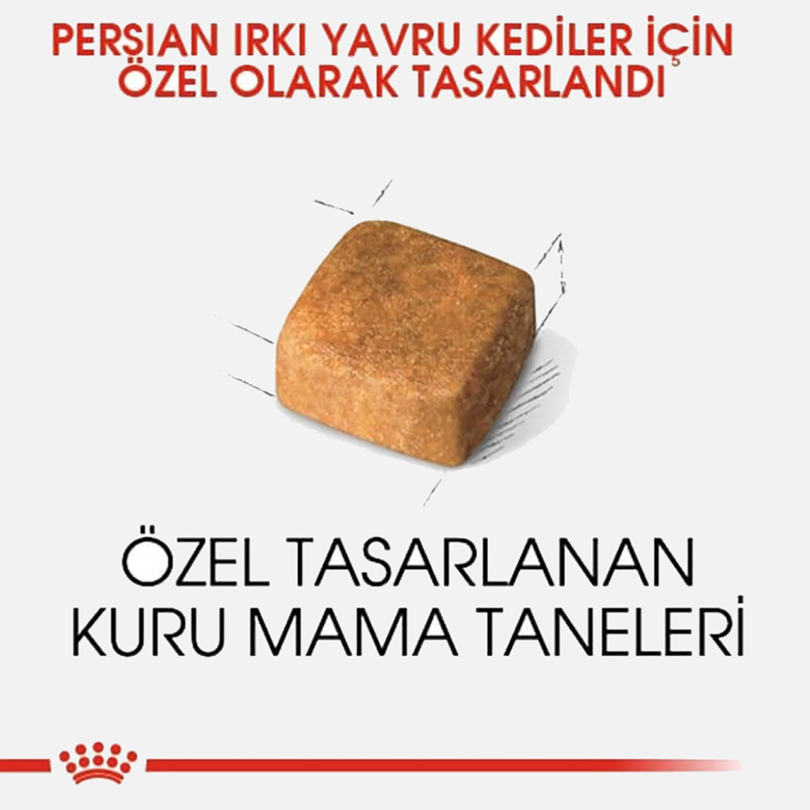    Royal Canin Feline Kitten Persian Kuru Kedi Maması 2 Kg 
 