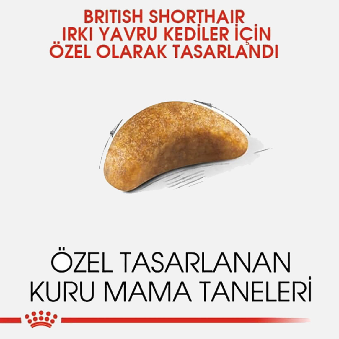    Royal Canin British Shorthair Yavru Kedi Maması 2 Kg 
 