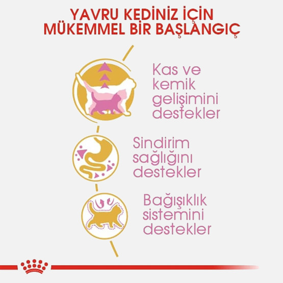 Royal Canin British Shorthair Yavru Kedi Maması 2 Kg 