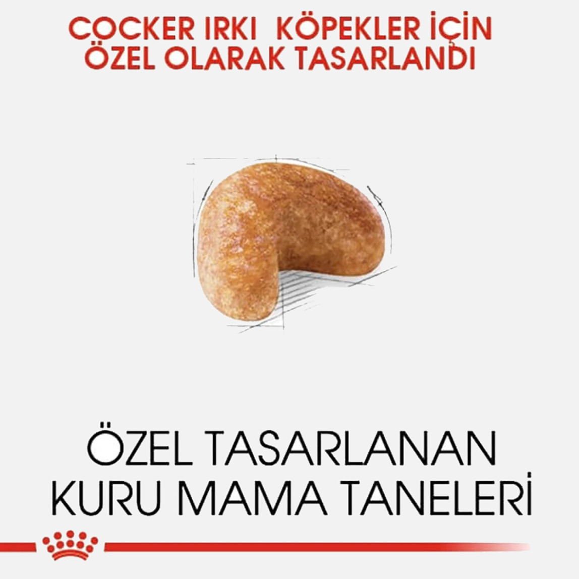    Royal Canin Cocker Spaniel 25 Köpek Maması 3 Kg 
 