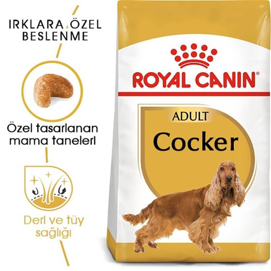 Royal Canin Cocker Spaniel 25 Köpek Maması 3 Kg 