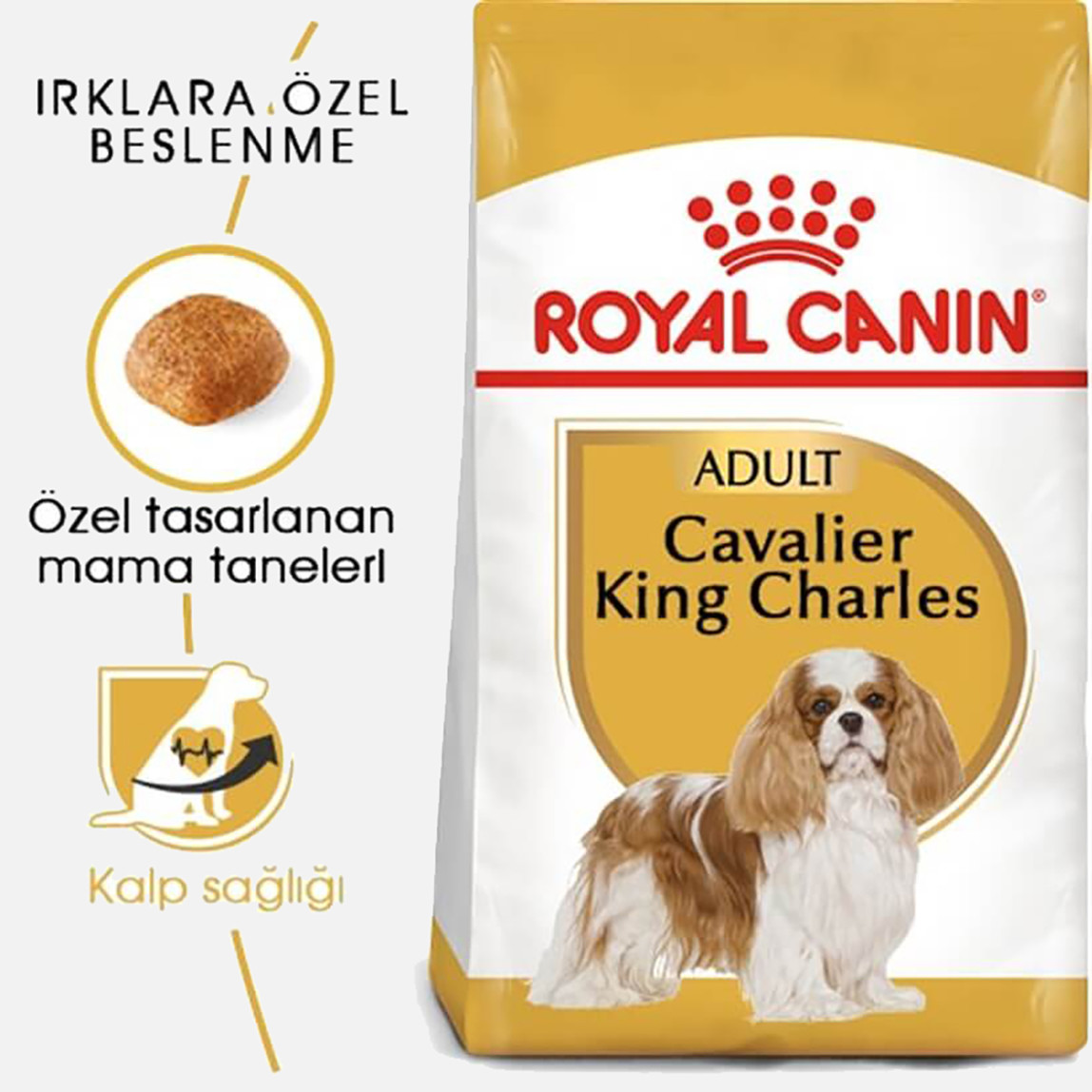    Royal Canin Cavalier King Charles 27 Yetişkin Köpek Maması 3 Kg 
 