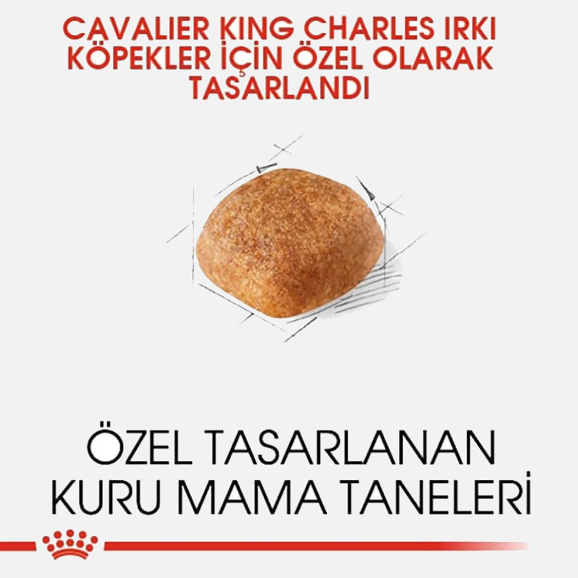    Royal Canin Cavalier King Charles 27 Yetişkin Köpek Maması 3 Kg 
 