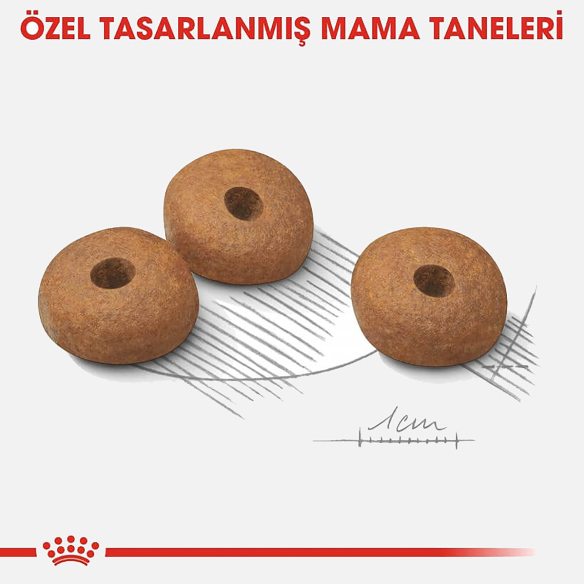    Royal Canin CCN Mini Light Weight Care Köpek Maması 3 Kg 
 