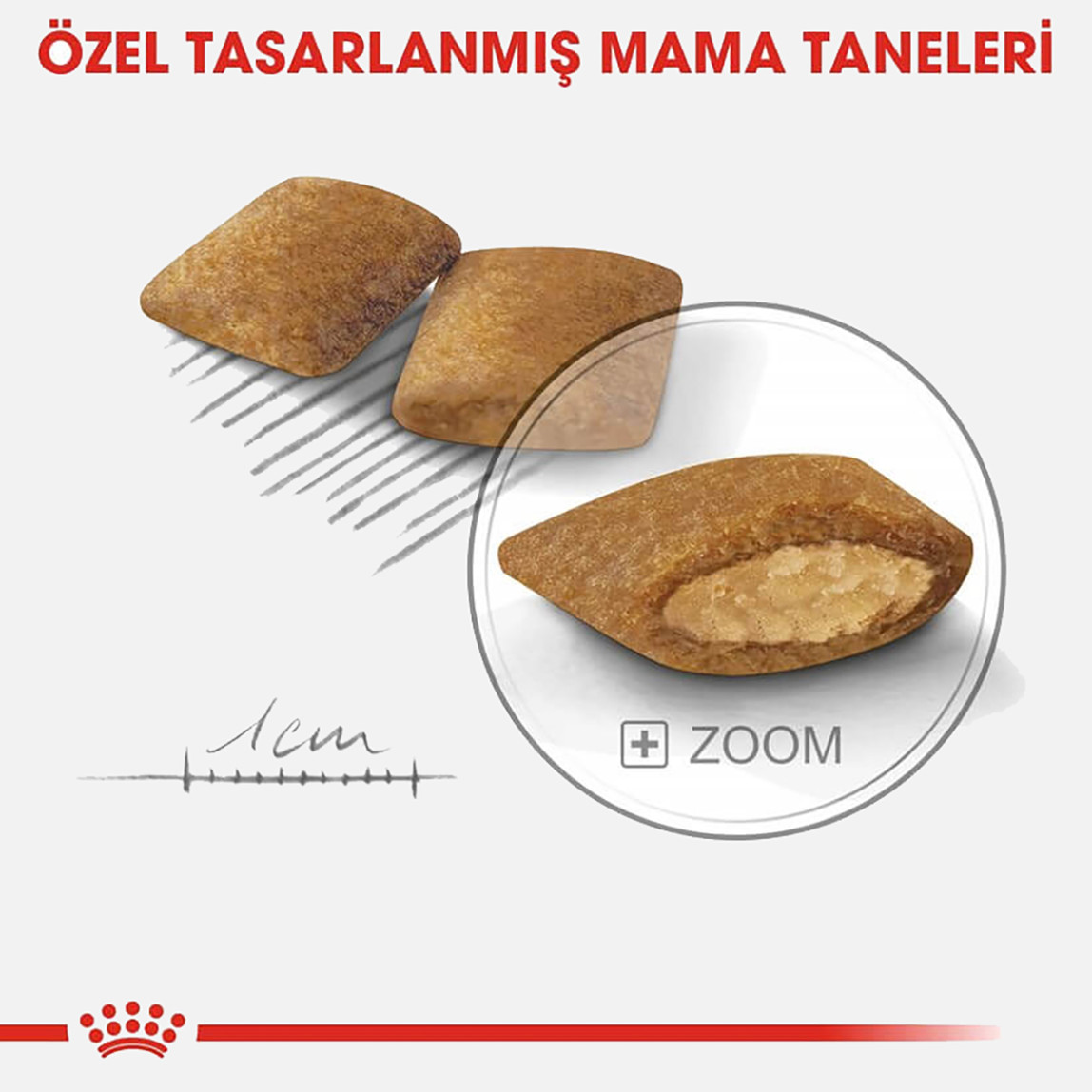    Royal Canin CCN Mini Exigent Köpek Maması 3 Kg  