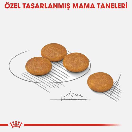 Royal Canin CCN Mini Derma Köpek Maması 3 Kg  
