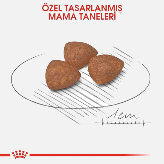 Royal Canin Mini Puppy Yavru Kuru Köpek Maması 4 Kg 
