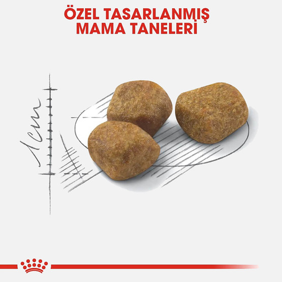 Royal Canin İndoor +7 Yaşlı Kuru Kedi Maması 3,5 Kg 