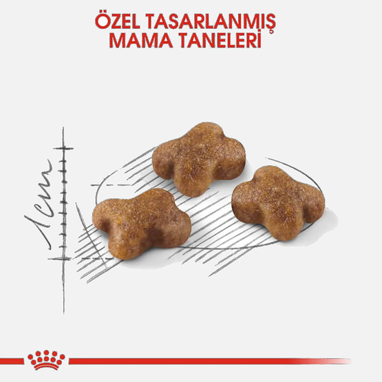 Royal Canin Kitten Yavru Kuru Kedi Maması 4 Kg 
