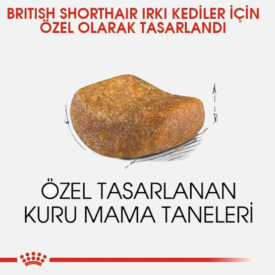 Royal Canin FBN British Shorthair Yetişkin Kedi Maması 4 Kg 
