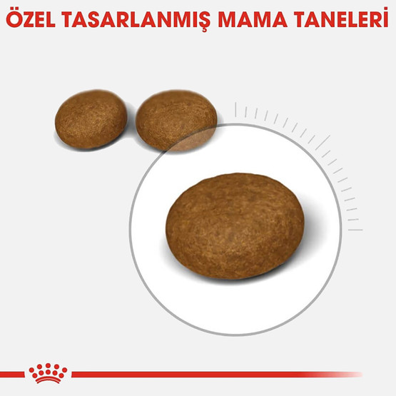 Royal Canin Hair Skin Hassas Tüylü Kediler İçin Mama 4 Kg 