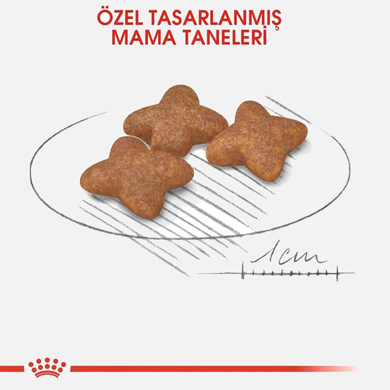 Royal Canin Mini Adult Köpek Maması 8 Kg 
