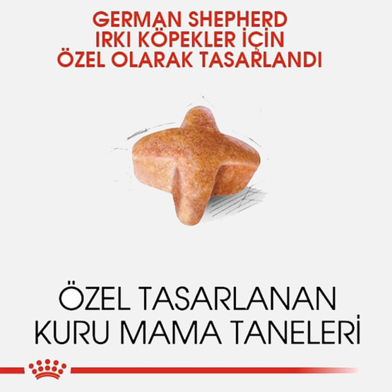 Royal Canin Alman Kurtları İçin Yetişkin Köpek Maması 11 Kg 
