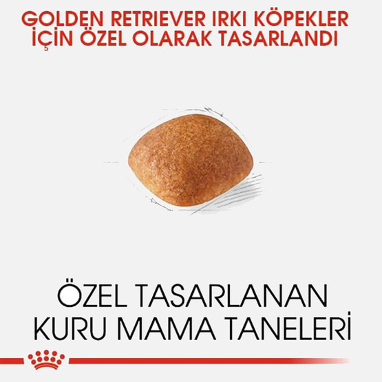 Royal Canin Adult Golden Retriever Özel Köpek Maması 12 Kg 