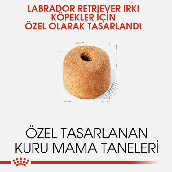 Royal Canin Labradorlar İçin Köpek Maması 12 Kg 