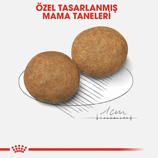 Royal Canin Medium Adult Orta Irk Yetişkin Köpek Kuru Maması 15 Kg 