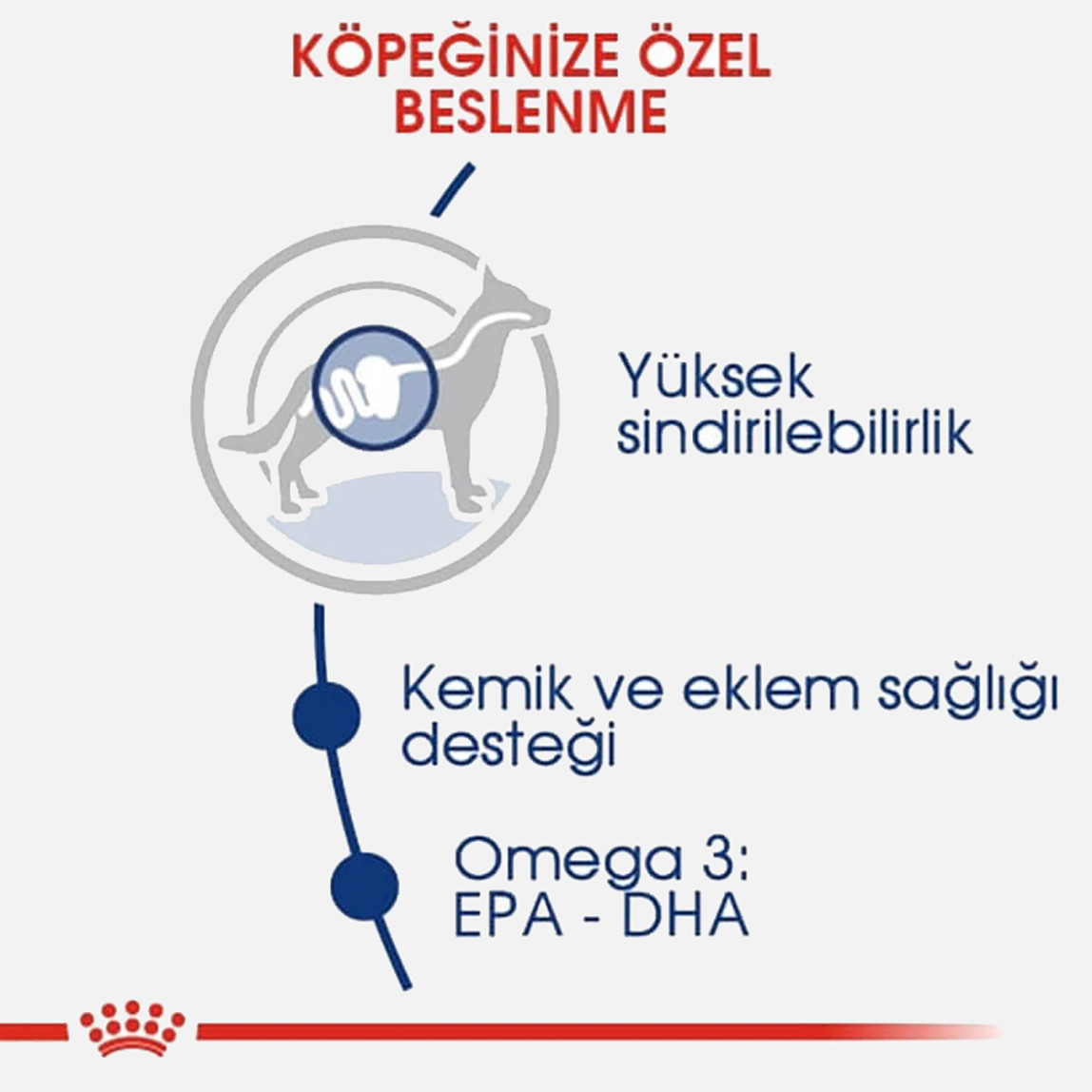    Royal Canin Maxi Adult Büyük Irk Yetişkin Kuru Köpek Maması 15 Kg 
 