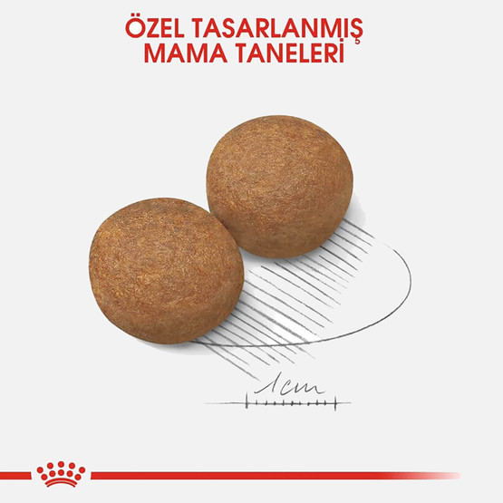Royal Canin Maxi Adult Büyük Irk Yetişkin Kuru Köpek Maması 15 Kg 
