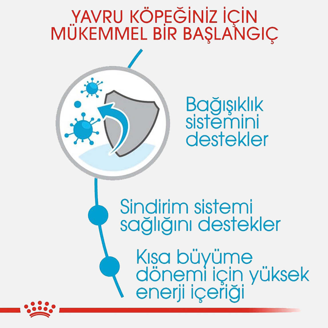    Royal Canin Medium Puppy Orta Irk Yavru Köpek Maması 15 Kg  