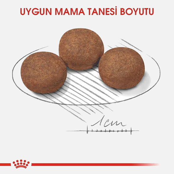 Royal Canin Medium Puppy Orta Irk Yavru Köpek Maması 15 Kg 

