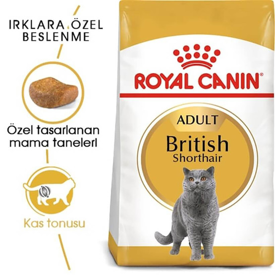 Royal Canin British Shorthair Yetişkin Kedi Maması 10 Kg 
