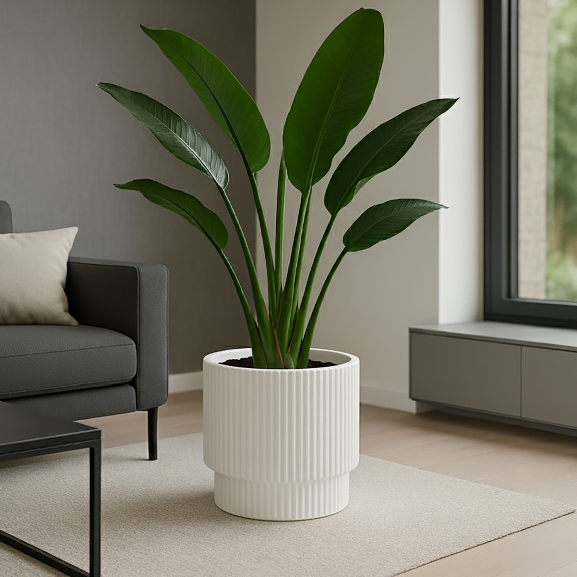    Vega Saksı 3 No Beyaz 27 Lt 

 