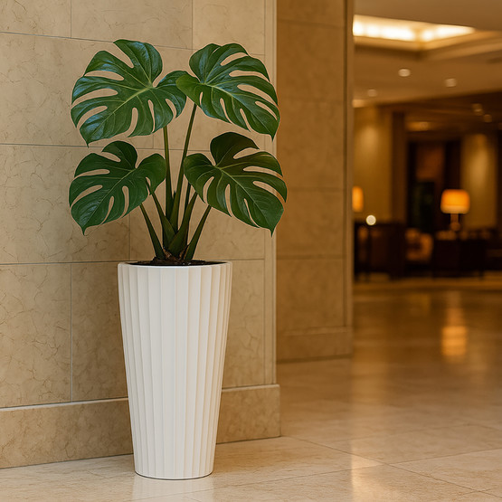 Lilyum Vazo Saksı 1 No Beyaz 