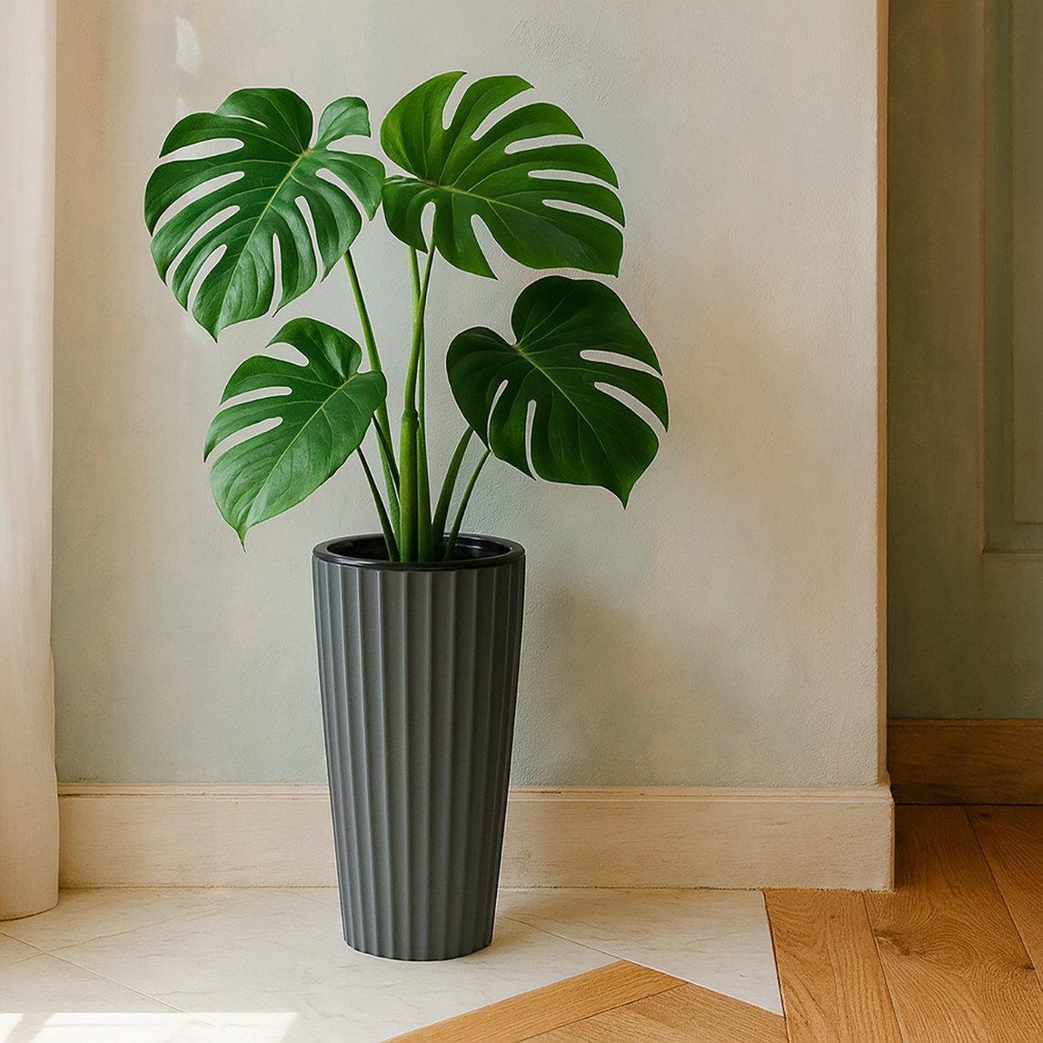    Lilyum Vazo Saksı 1 No Siyah   