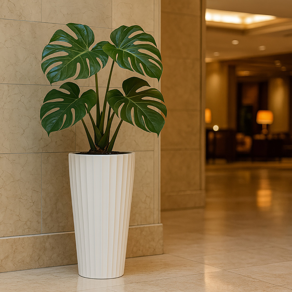    Lilyum Vazo Saksı 2 No Beyaz

 