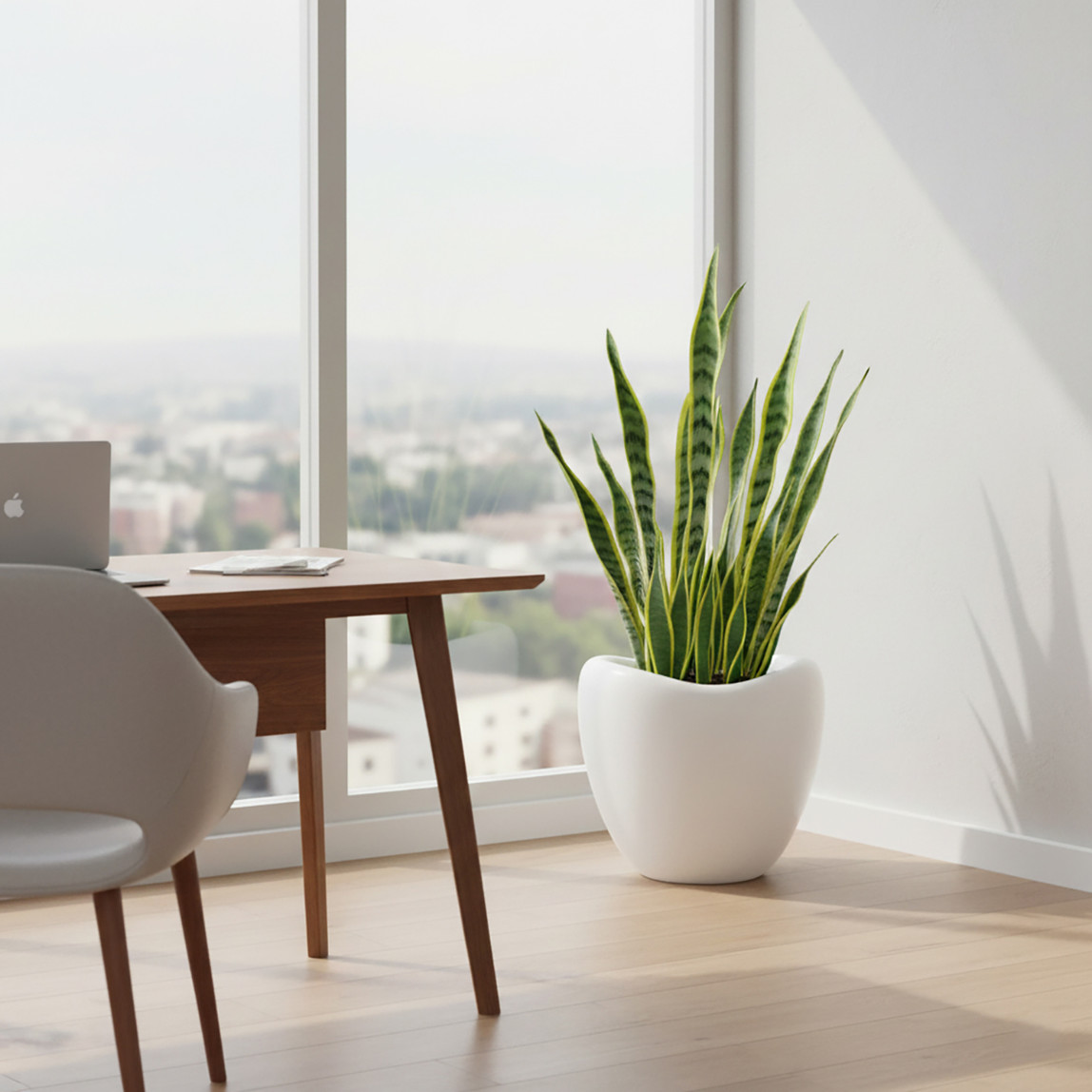    Lale Yumurta Saksı 3 No Kirli Beyaz 52 Lt  