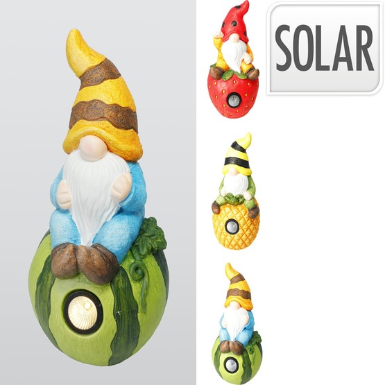 Solar Meyveli Cüce 39cm