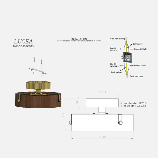 Lucea Degas Tekli Antik Lak Plafonyer 1xGx5.3