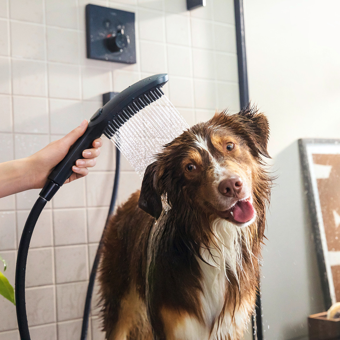    Hansgrohe Dogshower Köpek El Duşu Siyah 