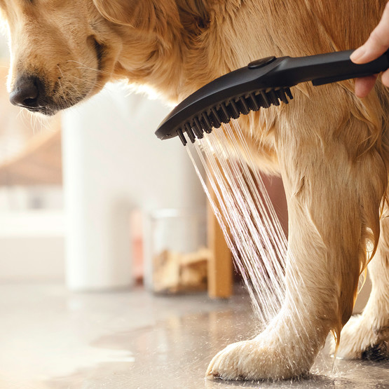 Hansgrohe Dogshower Köpek El Duşu Siyah