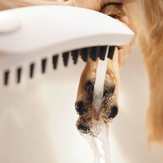 Hansgrohe Dogshower Köpek El Duşu Beyaz