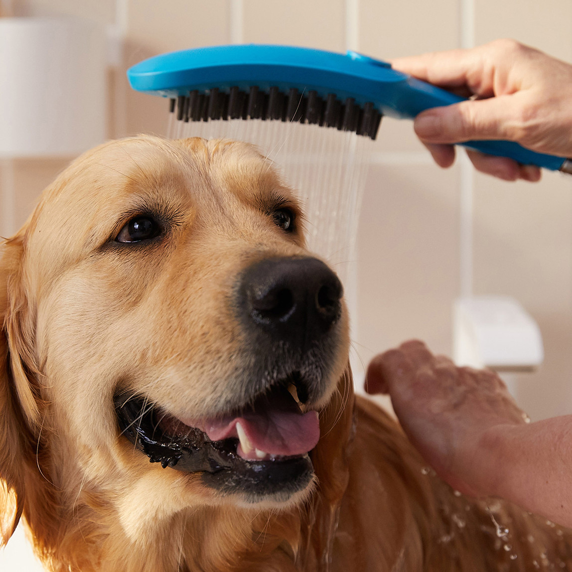    Hansgrohe Dogshower Köpek El Duşu Mavi 