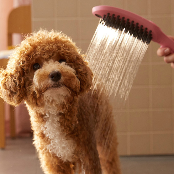 Hansgrohe Dogshower Köpek El Duşu Pembe