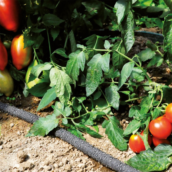 Fıtt Ecodrop Hortum 1/2'' 25 m 
