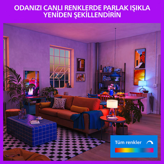 Philips Smart Lighting Led Akıllı Ampul E27 60W