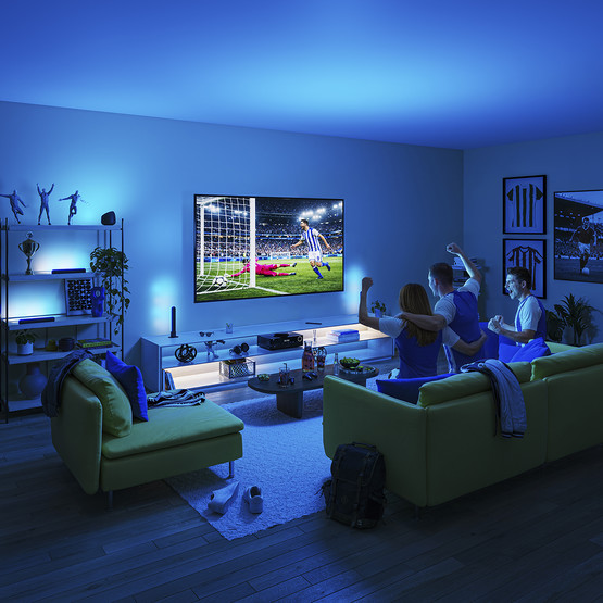 Philips Smart Gradient Işık Çubukları RGBIC Led